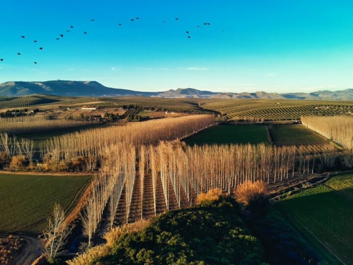 Gobierno y autonomías rechazan la propuesta de la PAC y Feijóo anuncia un Libro Blanco para el medio rural