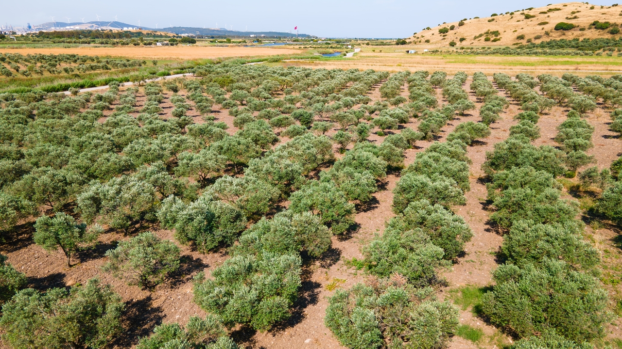 APAG Extremadura Asaja denuncia una “injusticia” del Gobierno con las ayudas por los incendios forestales