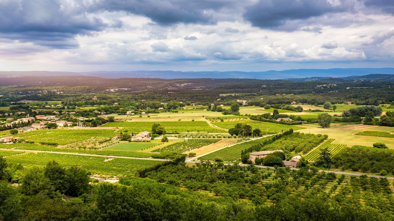 Francia impone sus propias cláusulas espejo y tensiona el mercado agrícola europeo