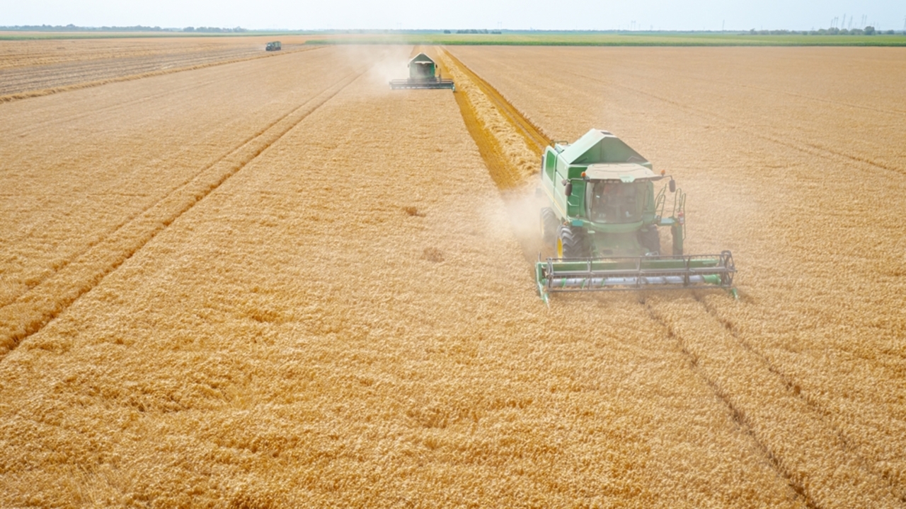 Ucrania consolida su papel como granero estratégico mundial cuatro años después del inicio de la guerra