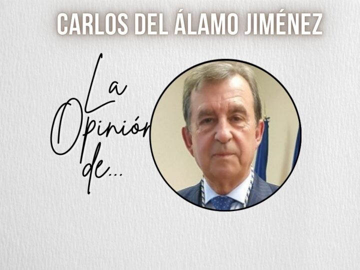 En el Día Internacional de los Bosques
