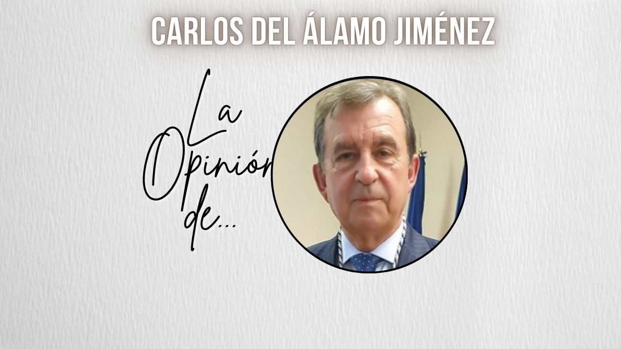 En el Día Internacional de los Bosques