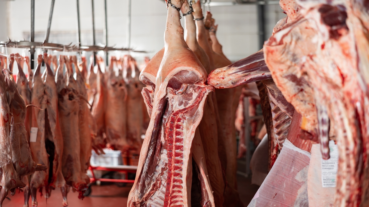 Bruselas avala el sistema español de bienestar animal en mataderos, pero señala la necesidad de modernizarlo