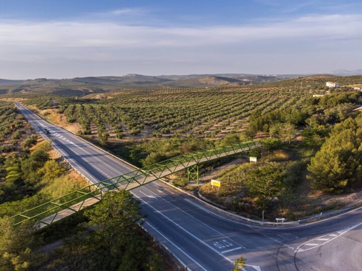Autovías incompletas, corredores ferroviarios retrasados y cien obras hidráulicas: el mapa de carencias de Andalucía