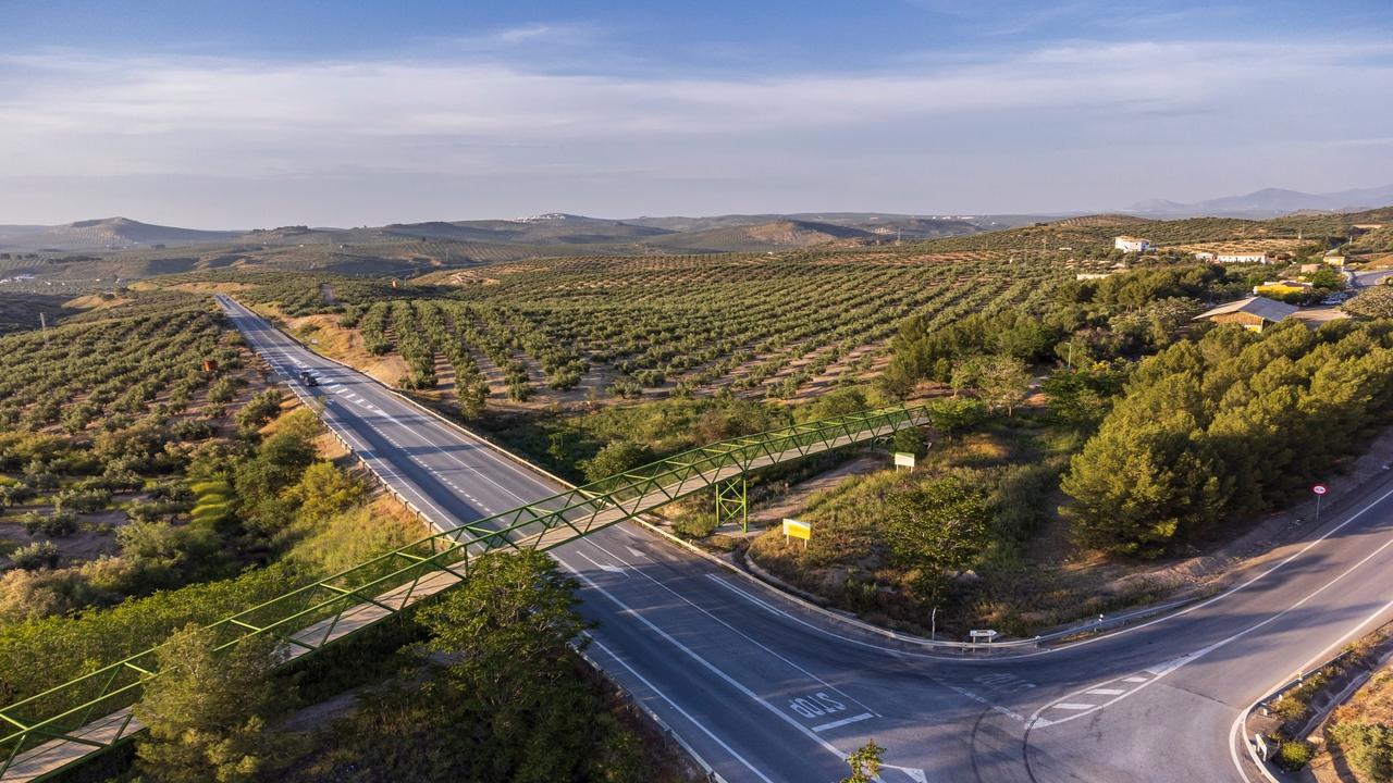 Autovías incompletas, corredores ferroviarios retrasados y cien obras hidráulicas: el mapa de carencias de Andalucía